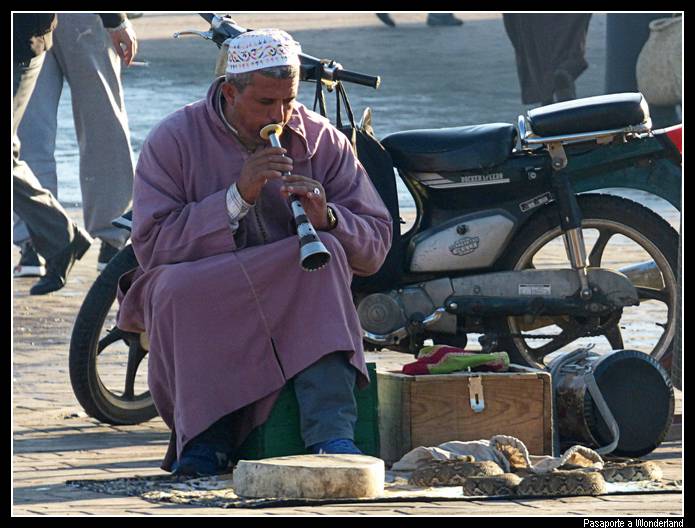 Jamaa el Fna Marrakech